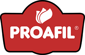 PROAFIL Logo